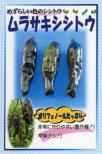 ムラサキシシトウ 小袋