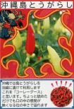 沖縄島とうがらし 小袋