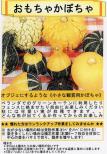 オモチャカボチャ 小袋