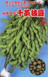 千茶枝豆 小袋
