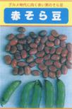 越前赤そら豆　小袋