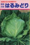 はるみどり 小袋