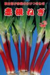 赤根葱 小袋