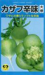 カザフ辛味大根 小袋