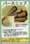 パースニップ 小袋