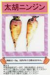大胡にんじん 小袋