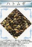ハトムギ 小袋