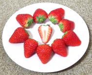 紅ほっぺ　ポット苗