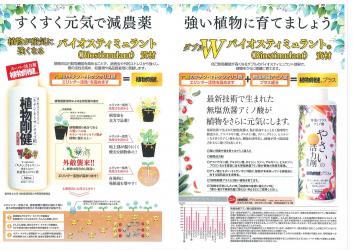 植物剛健2